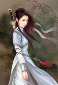 网游之天之杀手